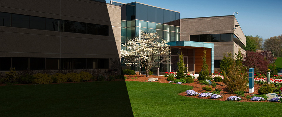 Longboat Key Landscapers