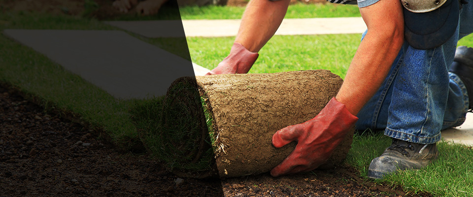 Longboat Key Landscapers